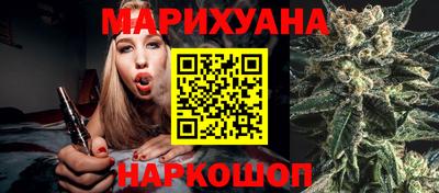 МДПВ Дубна