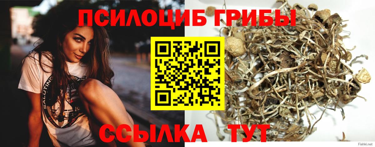 Галлюциногенные грибы MAGIC MUSHROOMS  Вход с VPN  Псилоцибиновые грибы Psilocybine cubensis  Можайск 